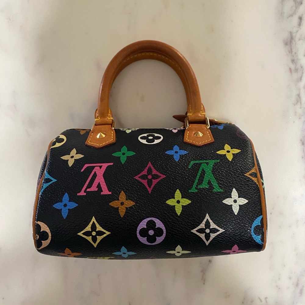 Louis Vuitton Black Multicolor Mini Bag